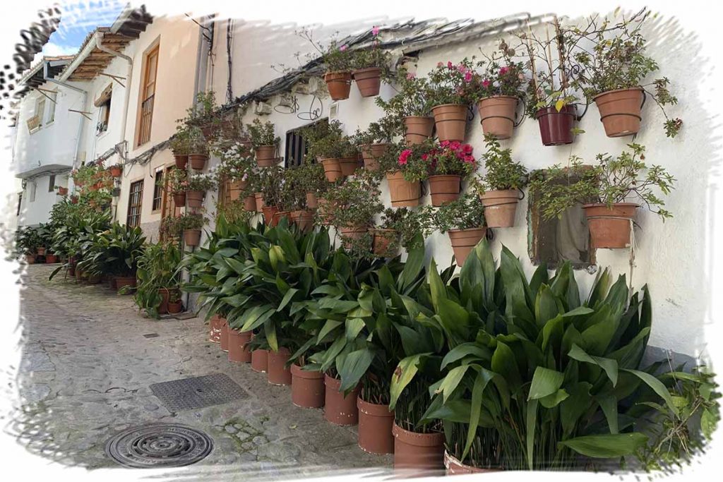 Calle del barrio judío de Hervás llena de plantas y flores