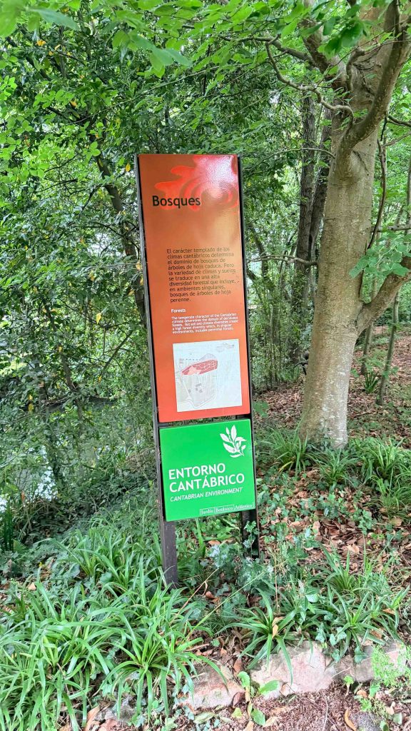 Turismo accesible Gijón: Día 2 7 turismo acceisble gijon jardin botanico entorno cantabrico